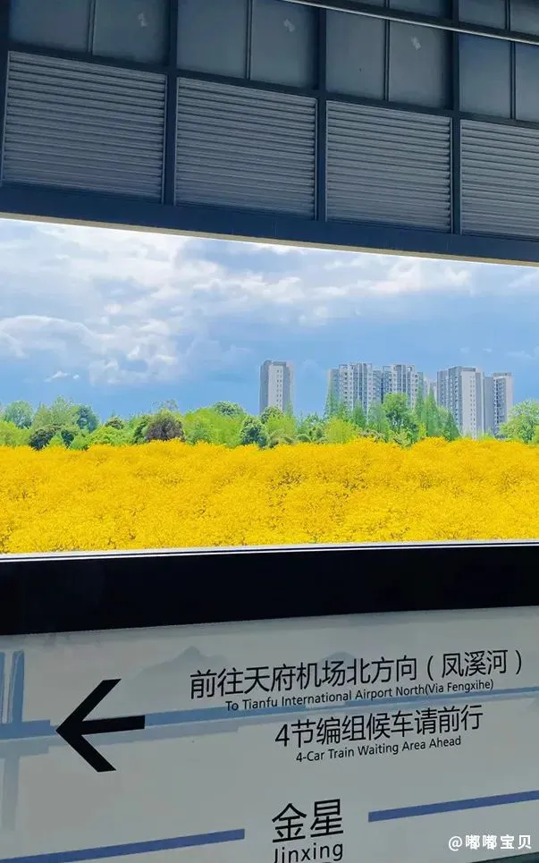 哪里可以学习到高级的篮球战术训练方法?_1